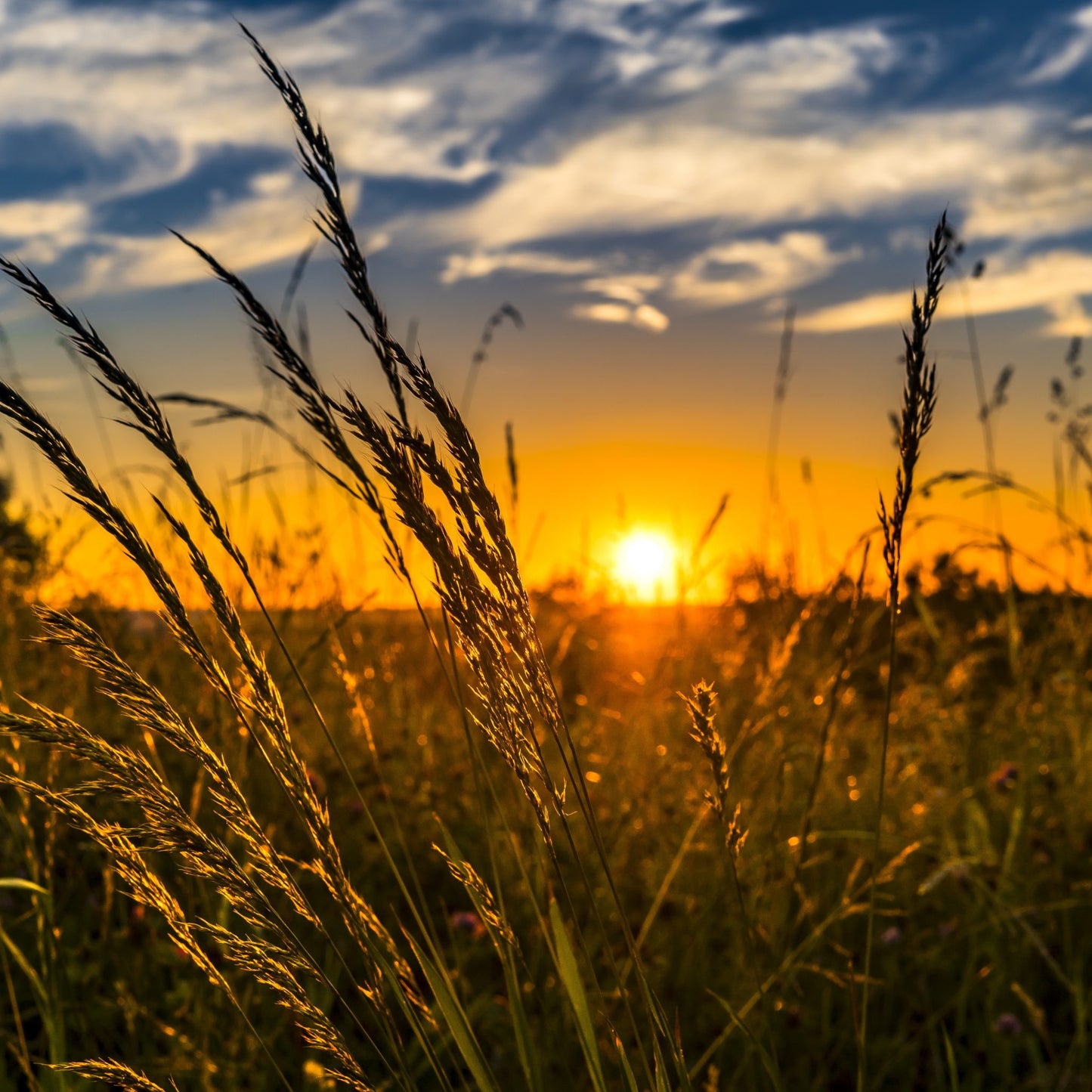 Lever du soleil d'été